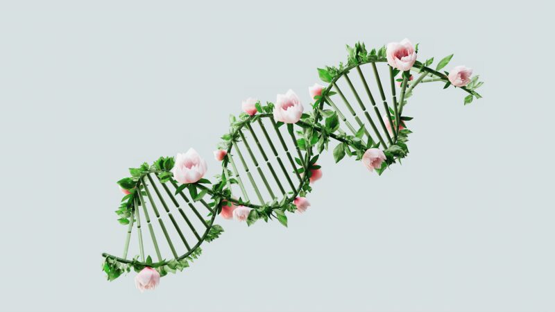 Czym jest DNA?